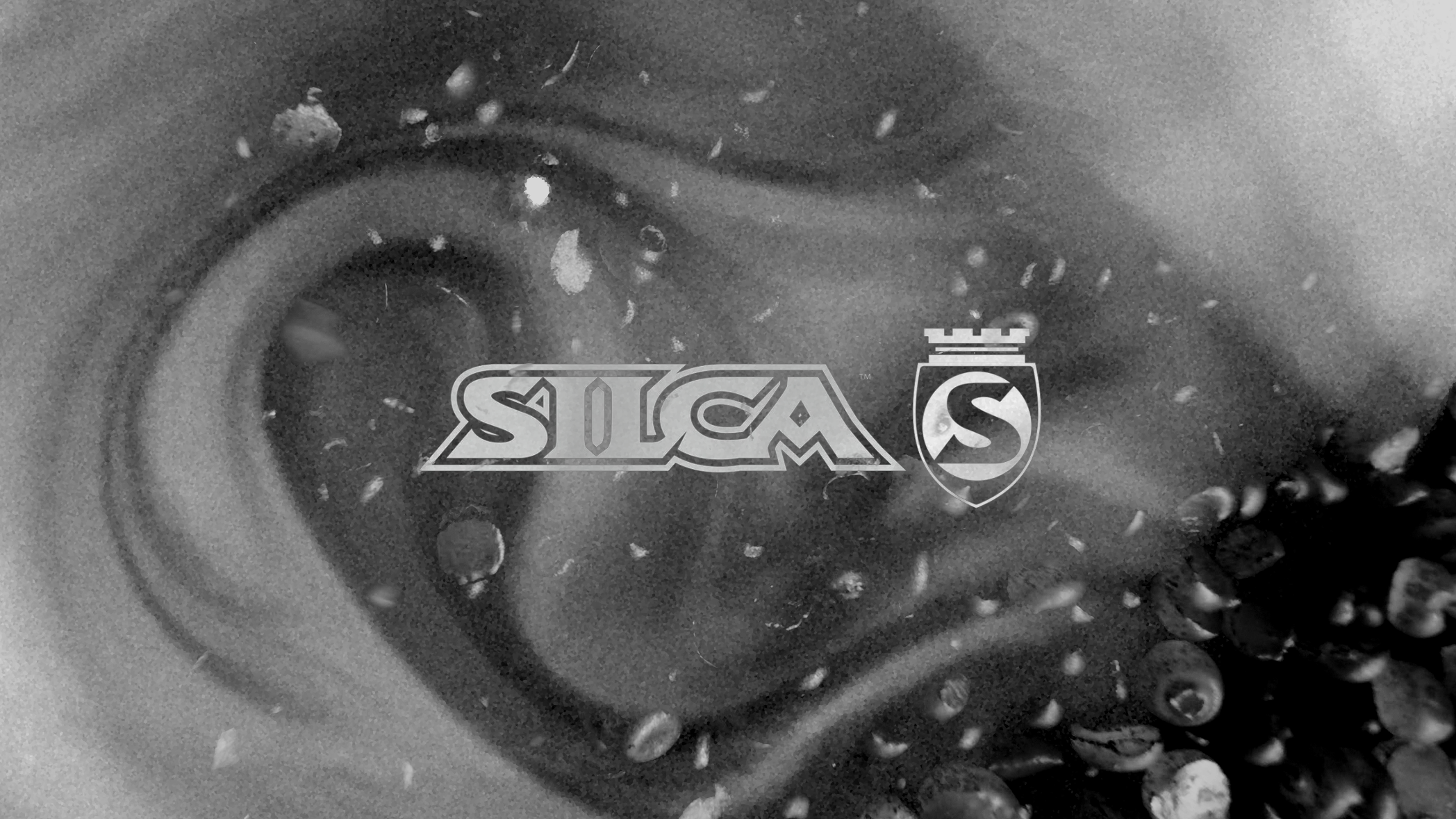 Silca